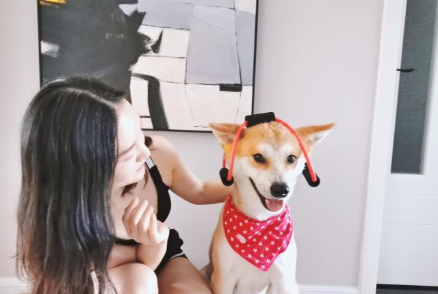 这可能是世界上最爱健身的狗狗,经常跟着主人一起锻炼!休闲区蓝鸢梦想 - Www.slyday.coM 这可能是世界上最爱健身的狗狗,经常跟着主人一起锻炼!休闲区蓝鸢梦想 - Www.slyday.coM