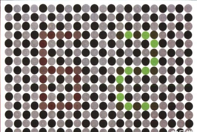 圆点|数字|绿色_新浪新闻