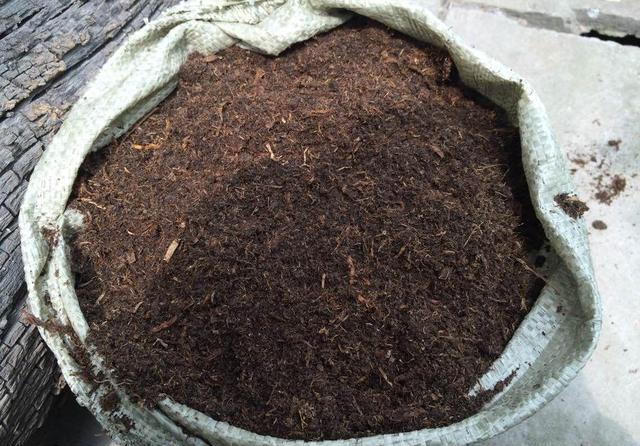 种植兰花的土壤是关键三种材料任意搭配便宜又好用