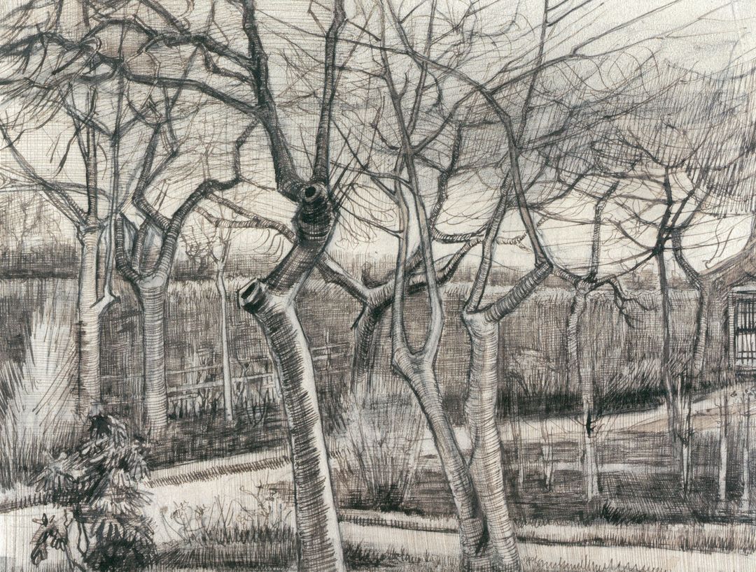 20张画树木的世界名画,关于画树枝的世界名作,树的画法美术作品