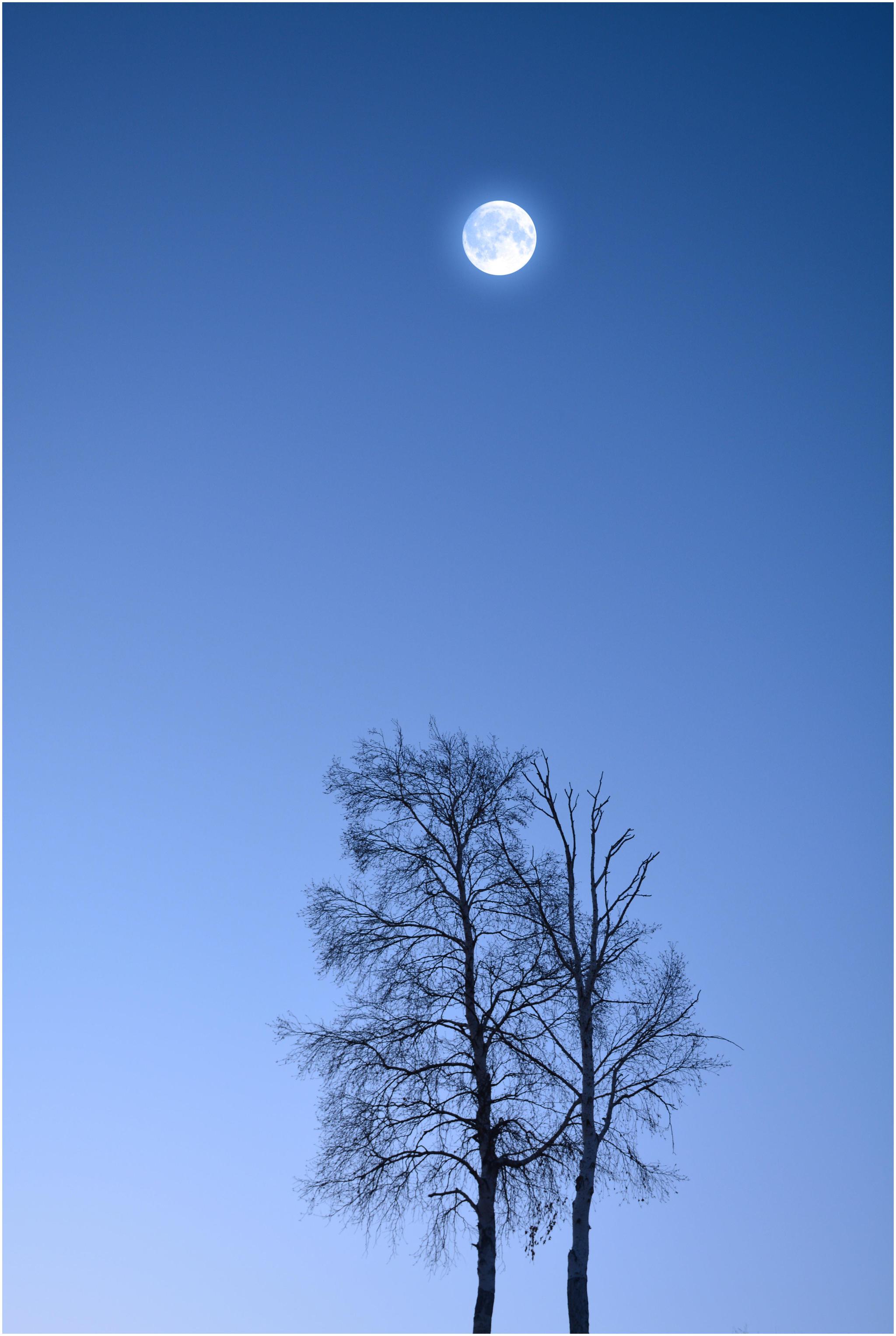 不要把简单当简约!26张摄影作品讲解,12个拍简约的摄影技巧__财经头条