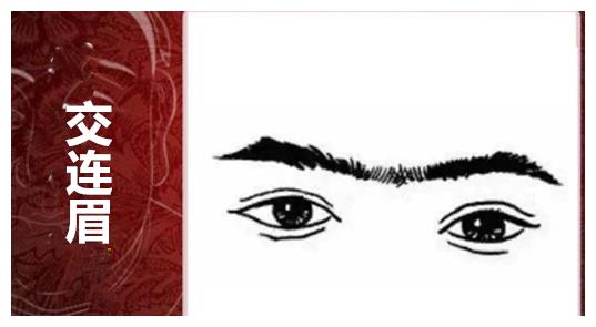 有杂眉或是乱眉侵入到印堂处的位置,导致两眉相连,而多半拥有此种眉形