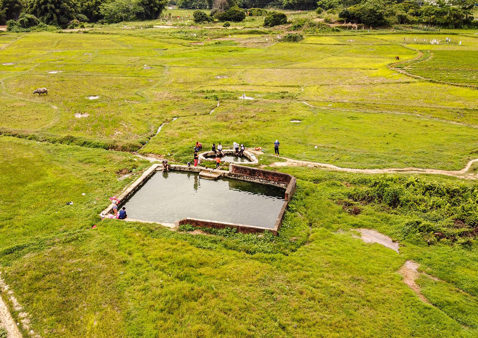 阳江这个稻田中的野温泉到季节了,喜欢这口的朋友们可以去体验了