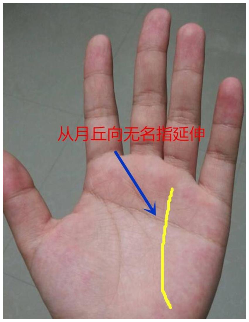手相 太阳线越是明显 事业成功率越大 财经头条 手相 太阳线越是明显 事业成功率越大 财经头条