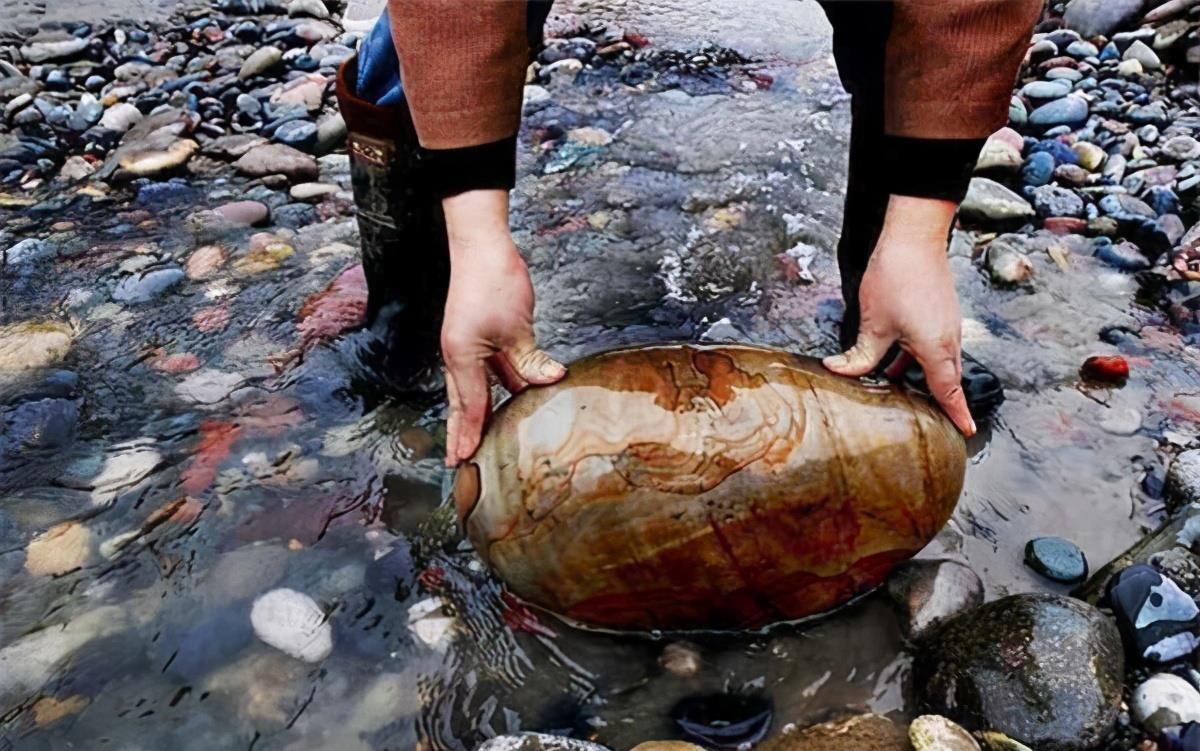 小石头|袁隆平|青石_新浪新闻