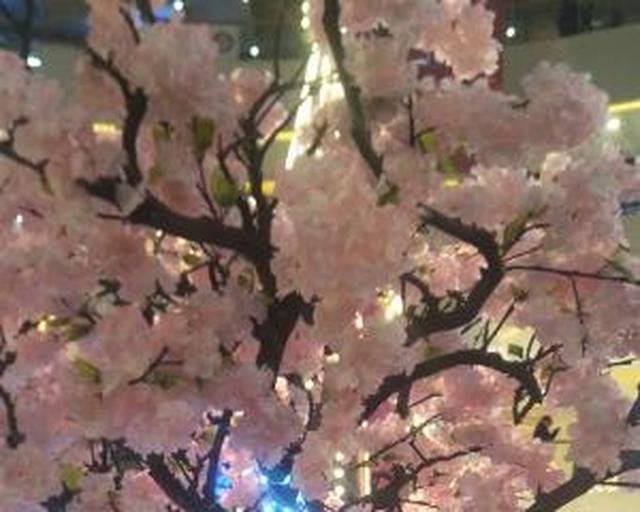 一根枝条就营造出森林的感觉,家里养这种花休闲区蓝鸢梦想 - Www.slyday.coM 一根枝条就营造出森林的感觉,家里养这种花休闲区蓝鸢梦想 - Www.slyday.coM