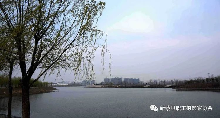 河南新蔡走进南湖公园享受美好春色