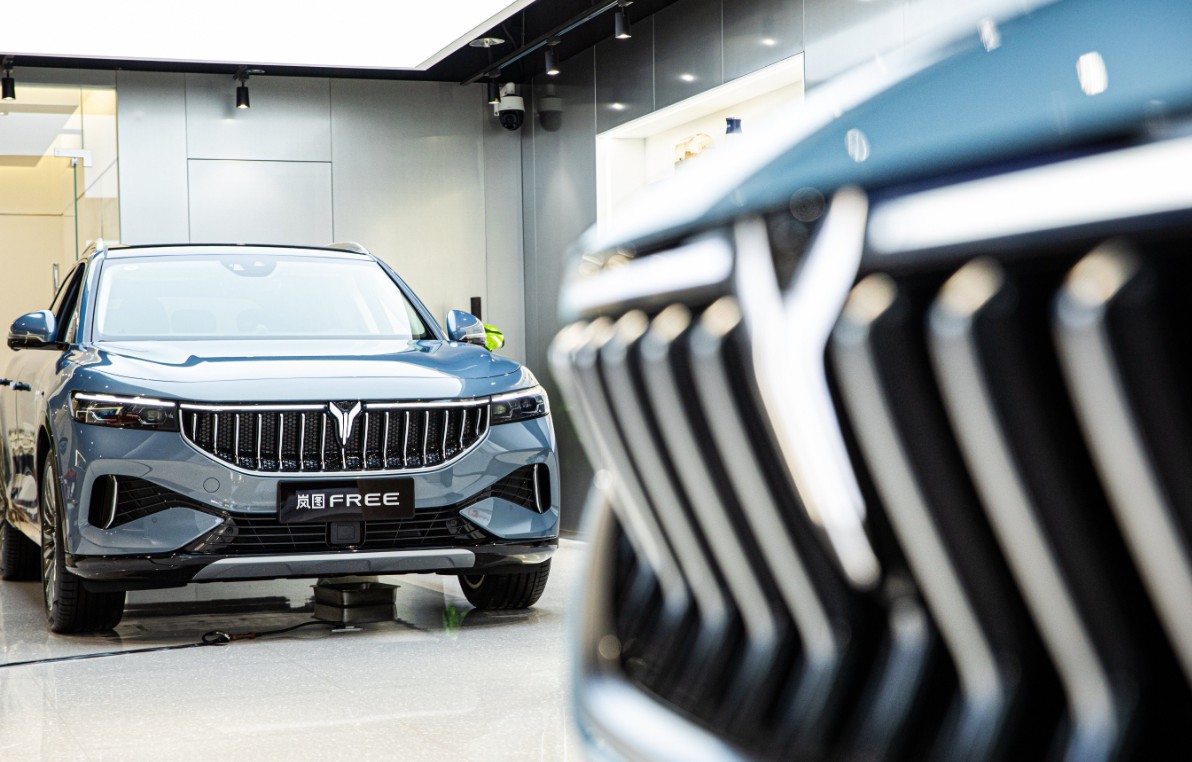 股价的短期波动不改变基本面，岚图的长期价值如何分析？