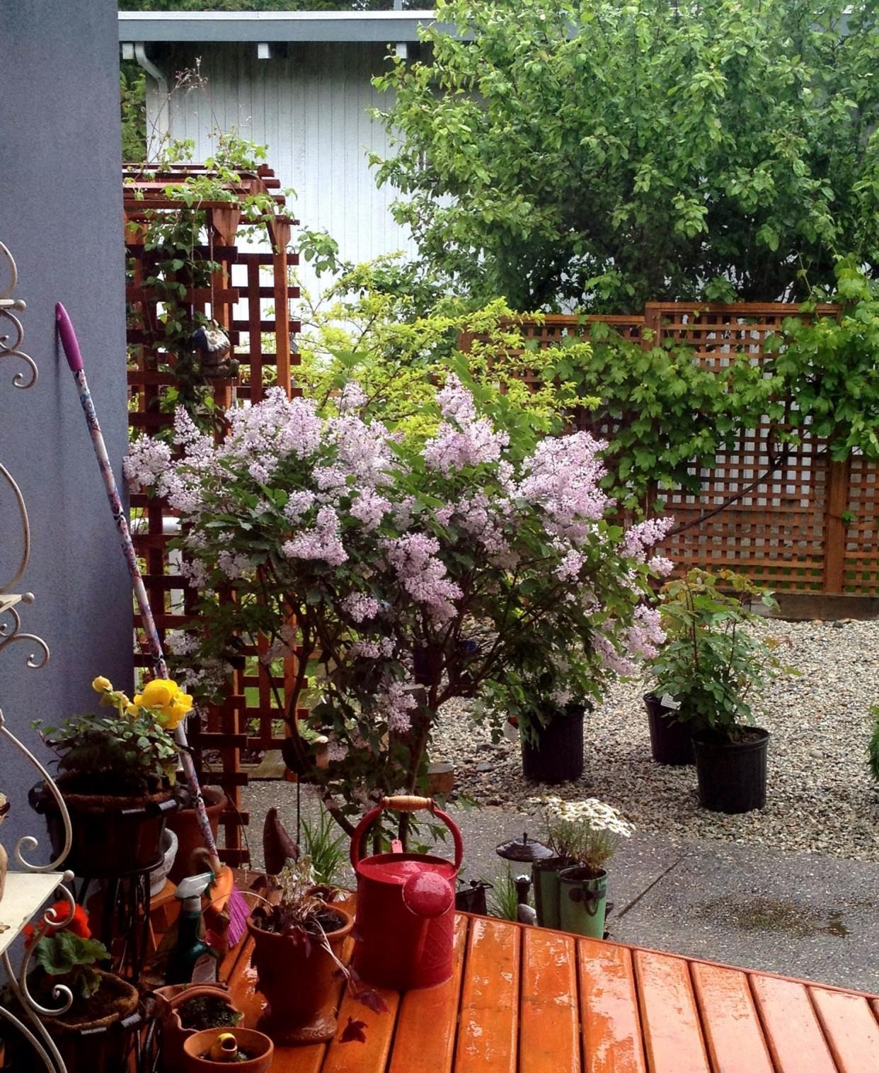 13个迷你"庭院花园"设计案例,小面积院子,也能让人百看不厌