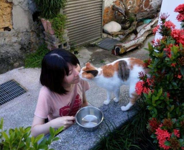 小猫三兄妹相中人类女孩，早晚组队拦截，结果一家猫全都被收养！休闲区蓝鸢梦想 - Www.slyday.coM