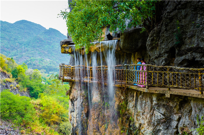 阳山石螺温泉图片