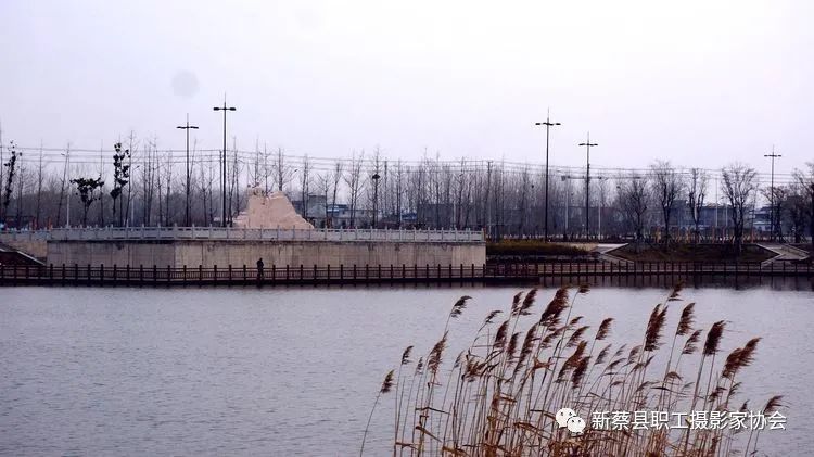 河南新蔡走进南湖公园享受美好春色