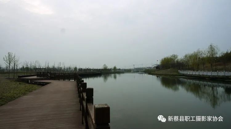 河南新蔡走进南湖公园享受美好春色