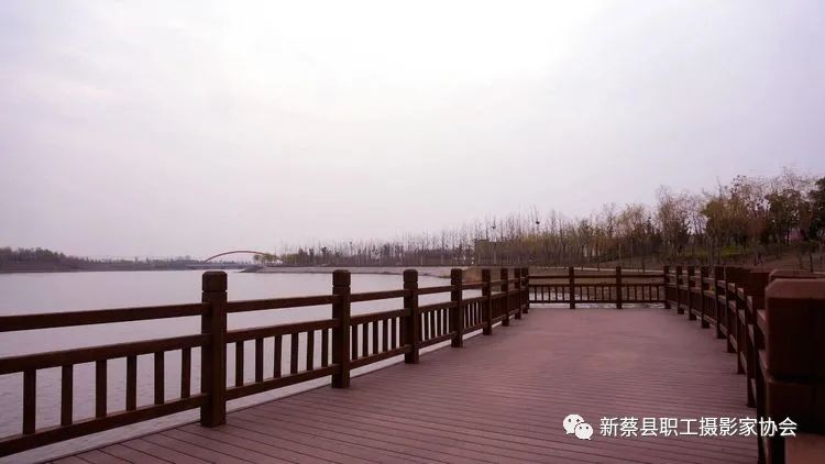 河南新蔡走进南湖公园享受美好春色