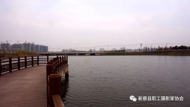 河南新蔡走进南湖公园享受美好春色