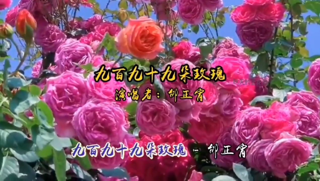 邰正宵这首《九百九十九朵玫瑰》，是最深情的恋爱告白歌曲，好听