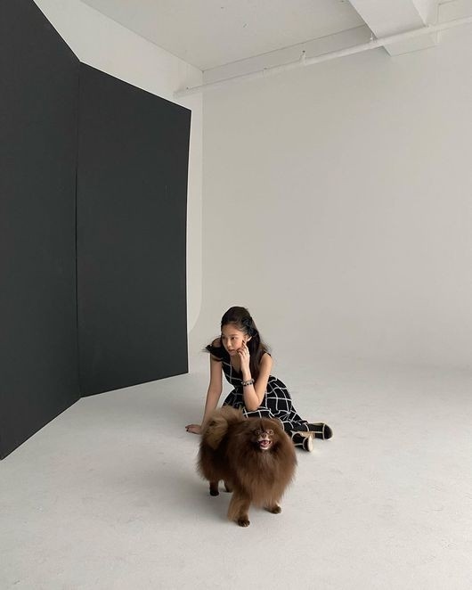 BLACKPINK金智妮和爱犬一起拍摄写真 可爱&优雅的氛围