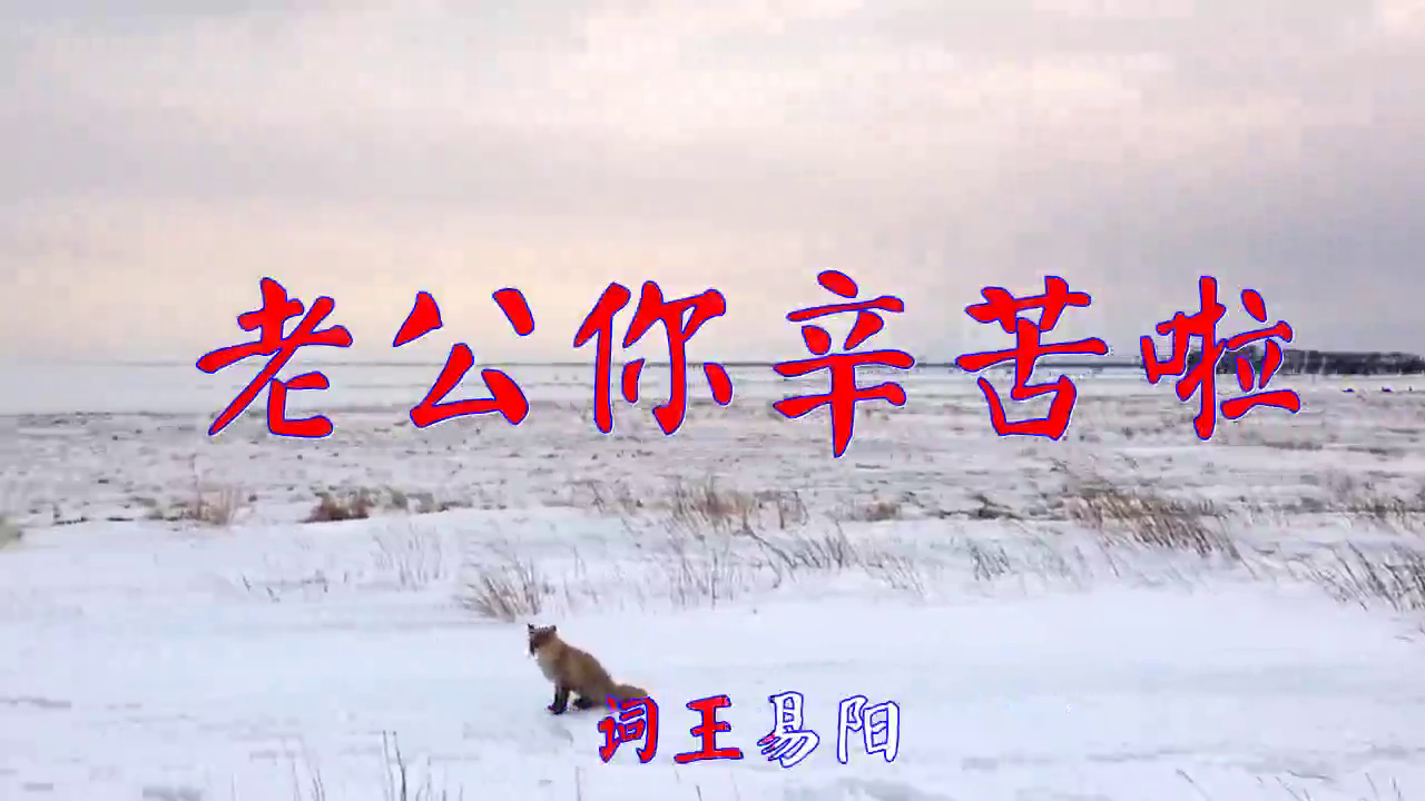 分享一首《老公你辛苦啦》,委婉动听,心都酥了