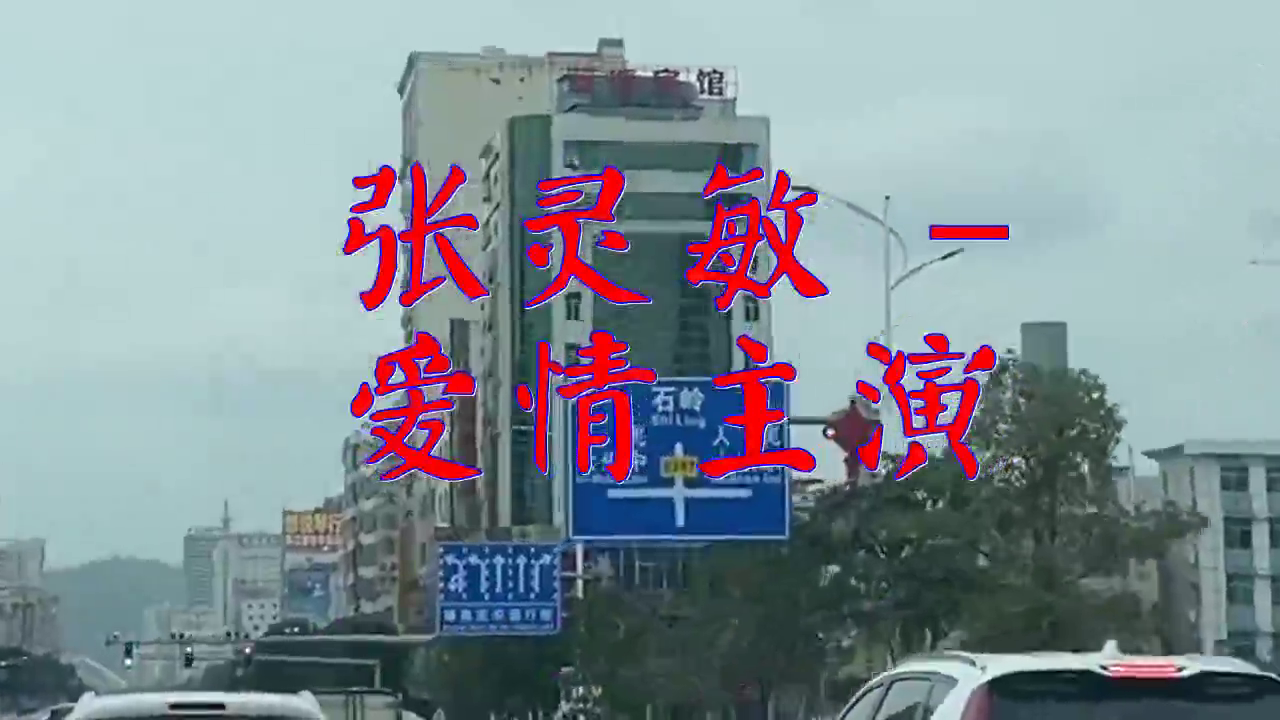 dj何鹏的《张灵敏 - 爱情主演》,旋律动听好听极了