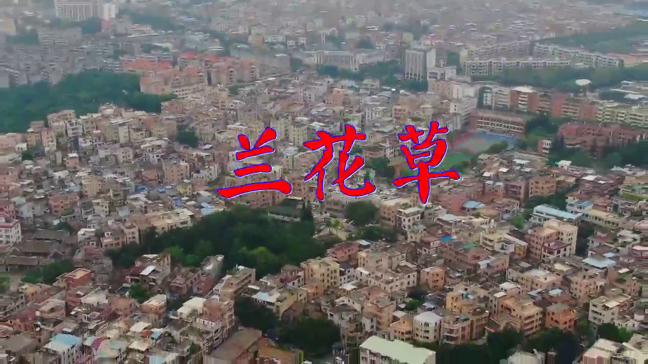 《兰花草》舞台嗨爆现场!宁静携阿朵袁咏琳霸气热舞,惊呆杜华