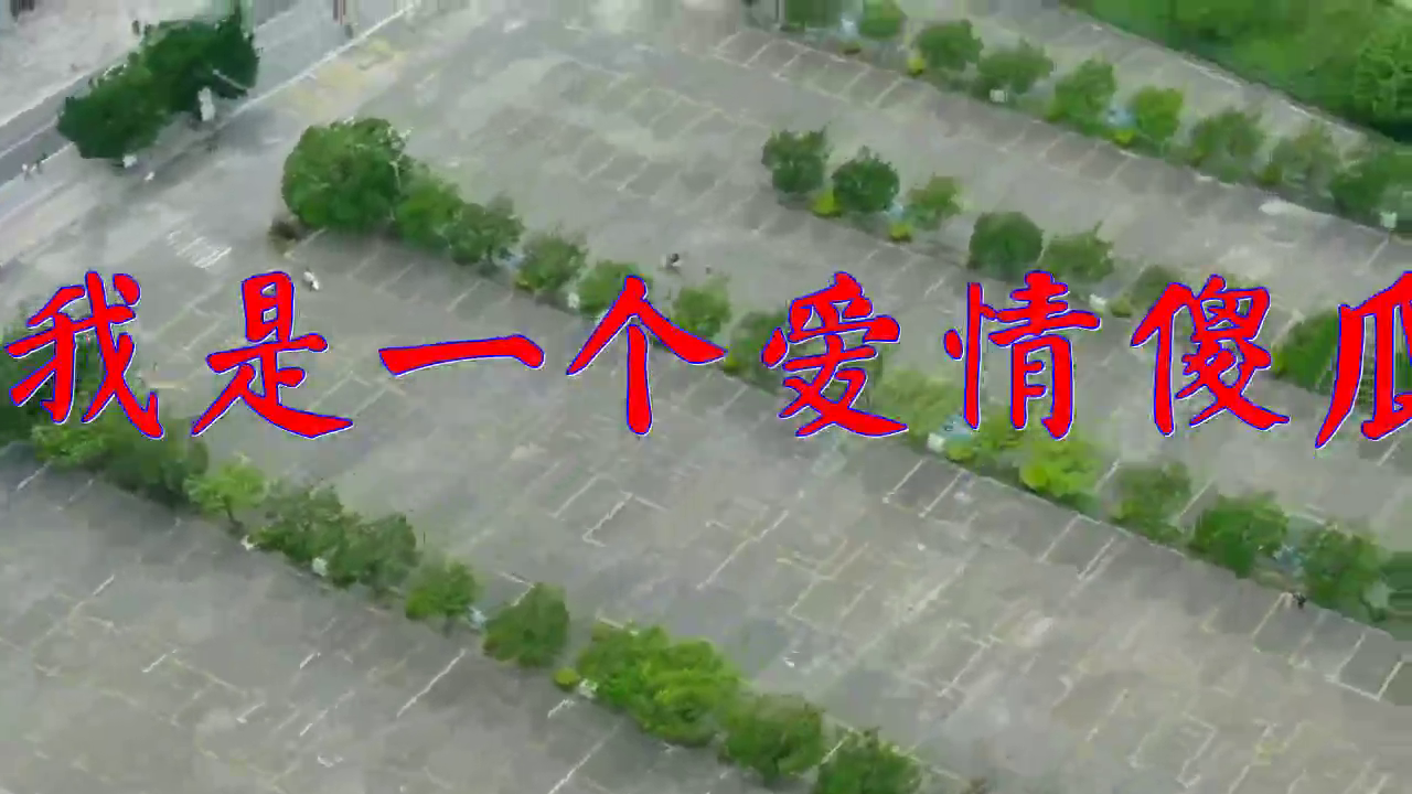 好歌分享,《后悔爱上你 aaa.kau tau》,无比动人,节奏欢快