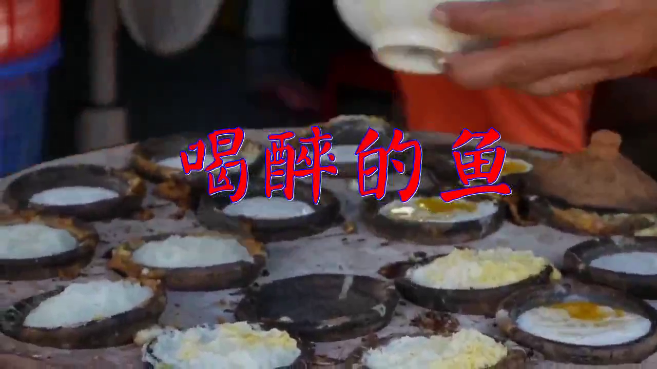 分享崔伟立的经典歌曲《喝醉的鱼》,句句入心,让人赞叹不已