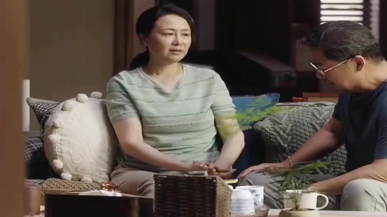 小舍得:南爸爸开始他的计划,套路田妈妈