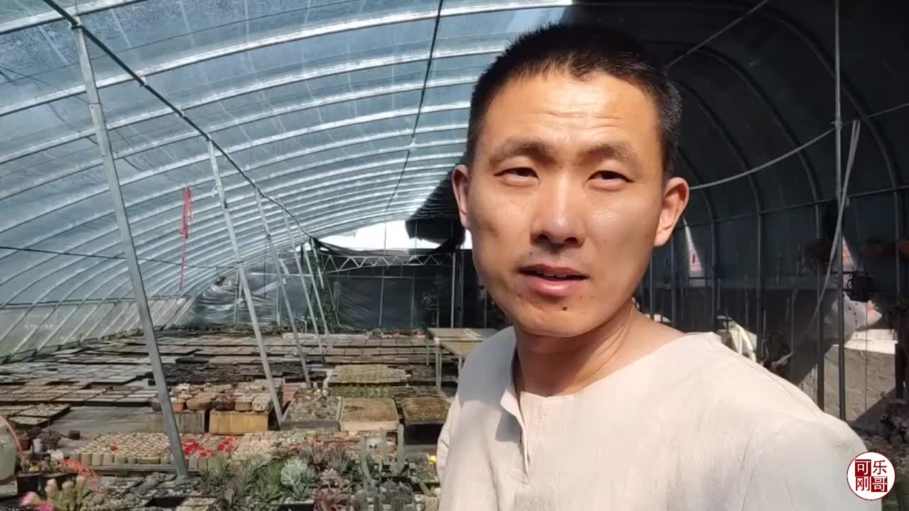 听刚哥怎么说? 为您推荐: 女