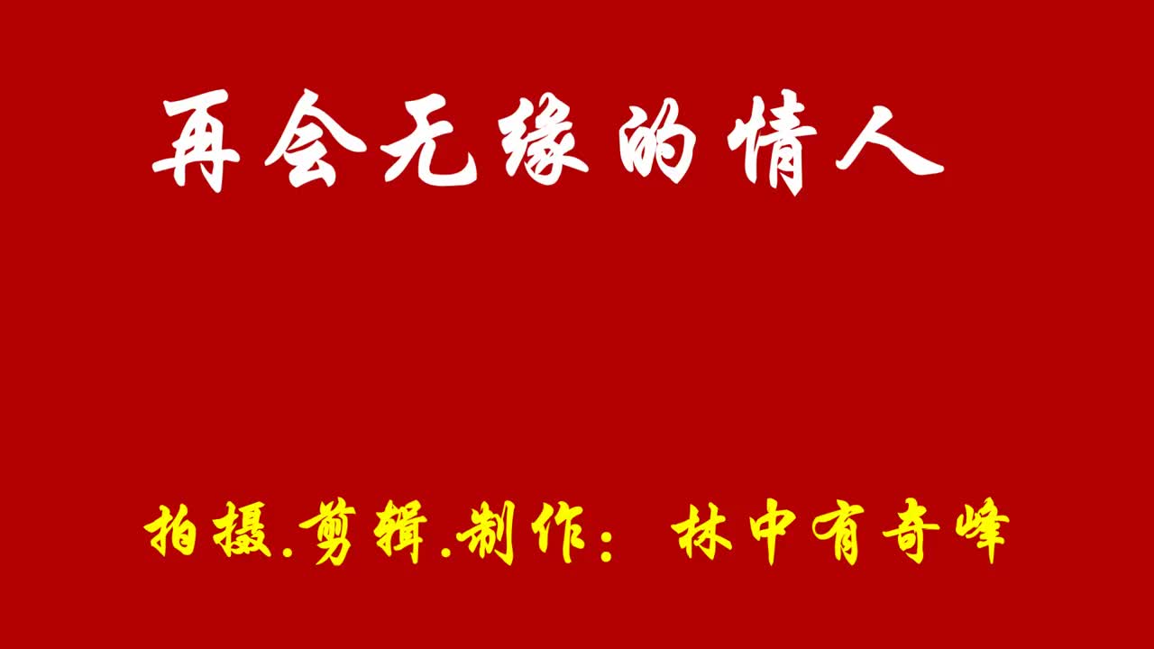 一首歌曲《再会无缘的情人》好听
