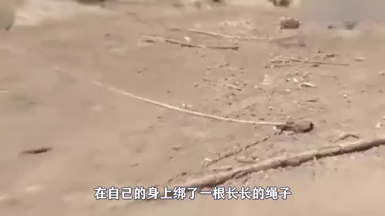 <a href=