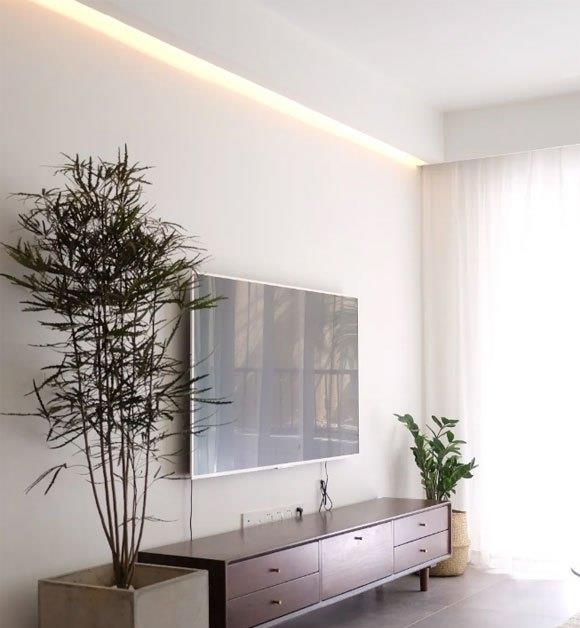 乳胶漆装饰的电视背景墙,最好配合造型简洁的电视柜,可以同时利用绿色