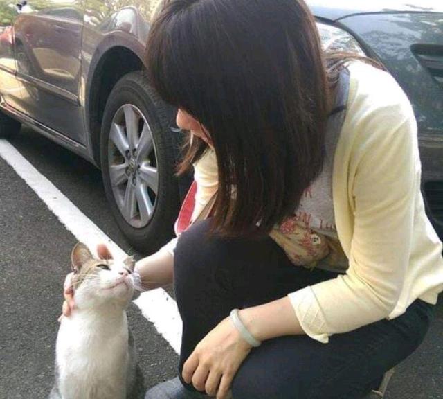 小猫三兄妹相中人类女孩，早晚组队拦截，结果一家猫全都被收养！休闲区蓝鸢梦想 - Www.slyday.coM