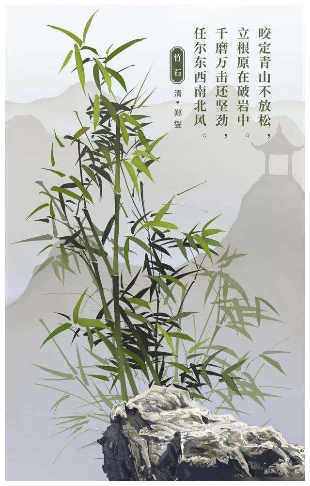 正文       "做人当君子,君子当如竹,临风不曲折,欲立天地间.