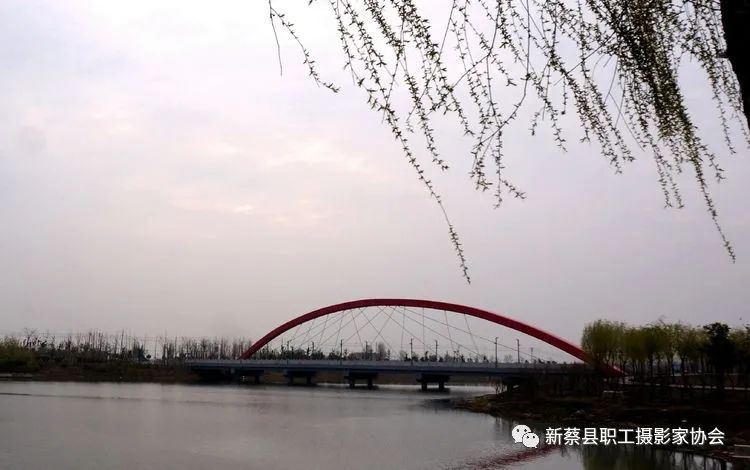 河南新蔡走进南湖公园享受美好春色