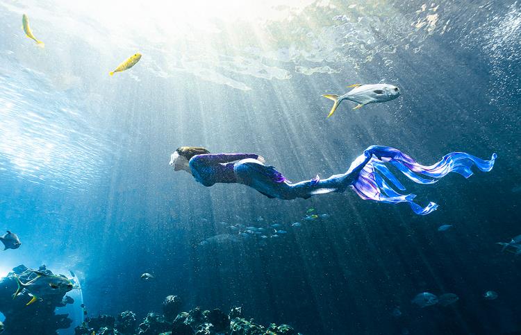 张柏芝美人鱼造型大片曝光,一袭蓝色人鱼服美腻了,素颜状态好绝