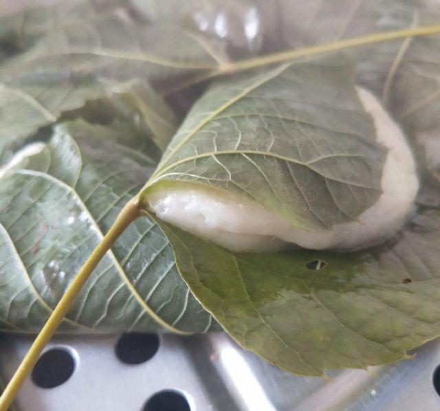 玻璃叶饼,粘糯好吃|柞树|豆沙馅|糯米粉_新浪新闻