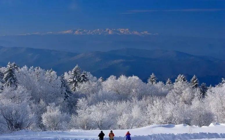林海雪原闯关东,这个冬天和你一起赴一场浪漫雪国的邀约|林海雪原