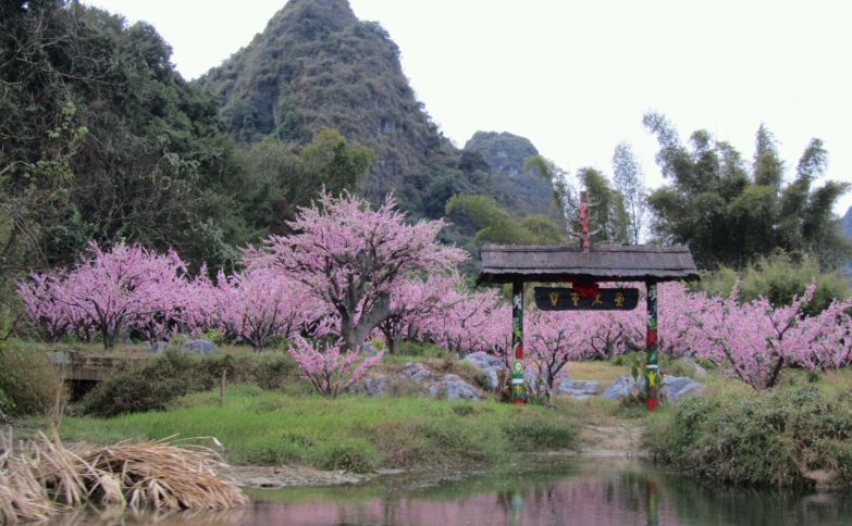 探访山水广西:有山有水的美景,世外桃源般的生活