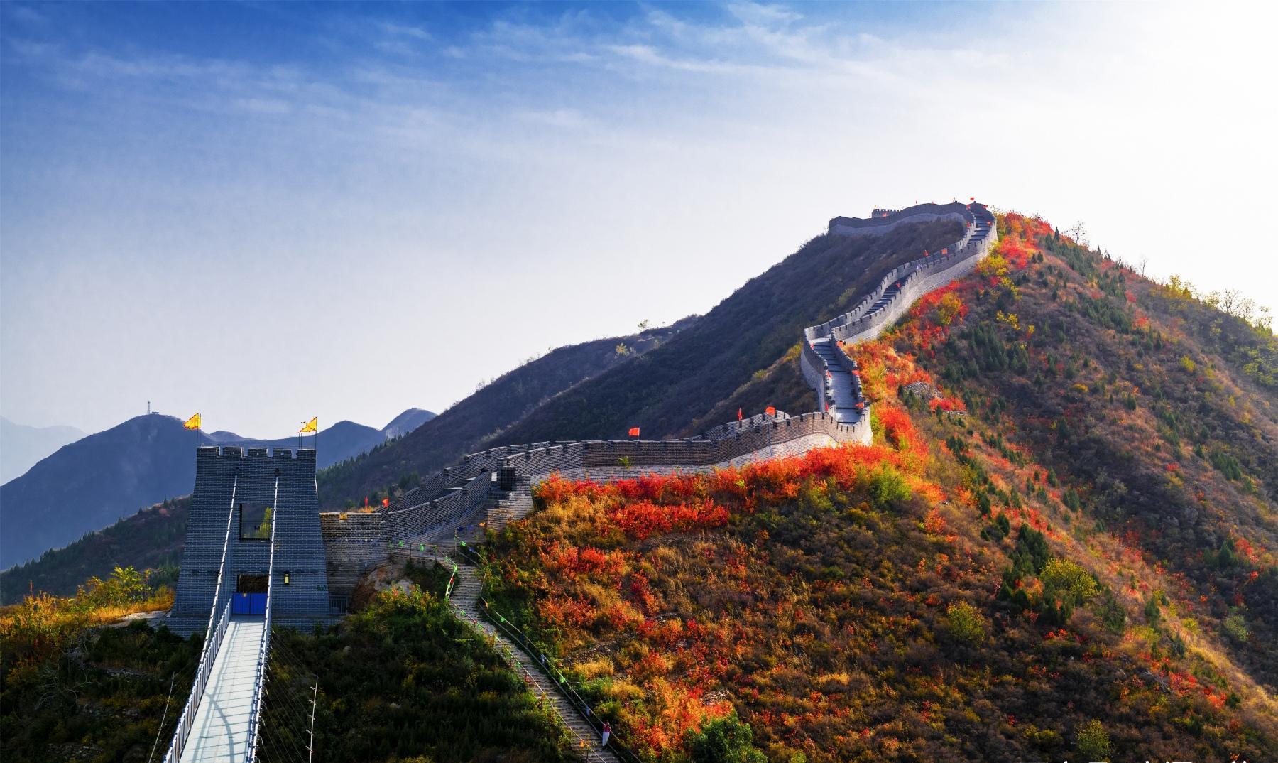 不到长城非好汉,石家庄家门口的长城,红叶秋染更巍峨