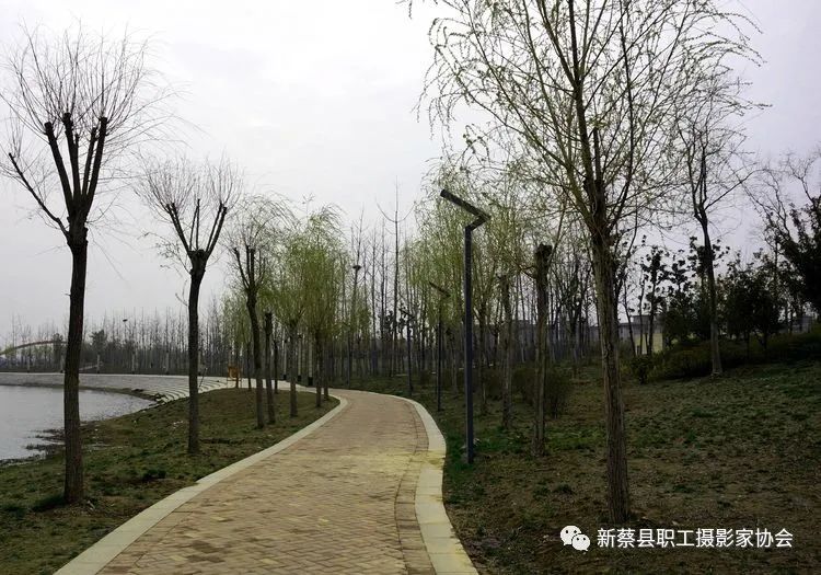 河南新蔡走进南湖公园享受美好春色