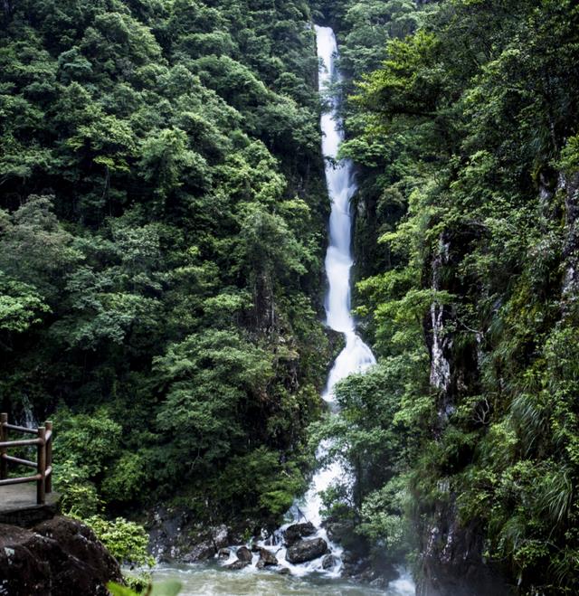 避暑|宝地|三百山_新浪新闻