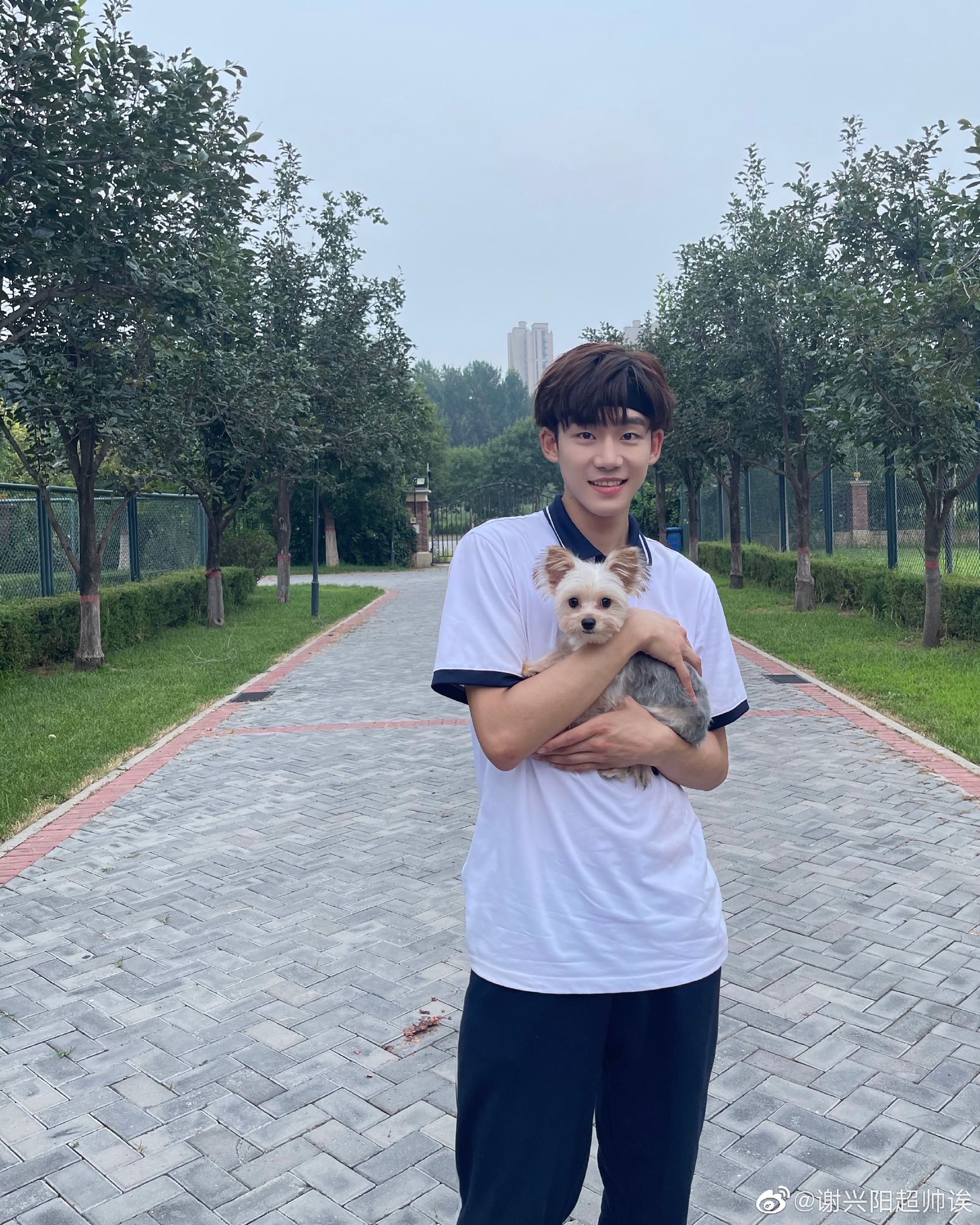 谢兴阳晒与狗狗玩耍九宫格元气少年开启撒欢模式