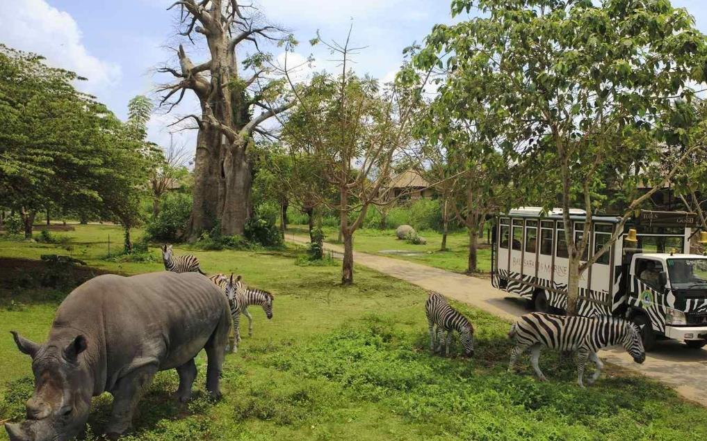 福州"大手笔"公园走红,距市中心仅15公里,称"福州瑰宝"|福州动物园