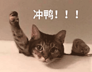 放弃NYU、GIT offer后,我选择去<a href=
