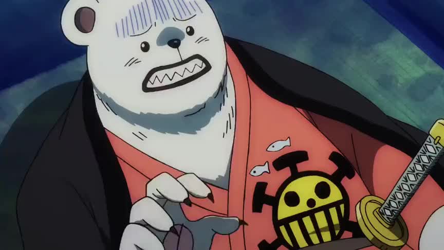 海贼王你更喜欢贝波还是乔巴一个夸不得一个骂不得