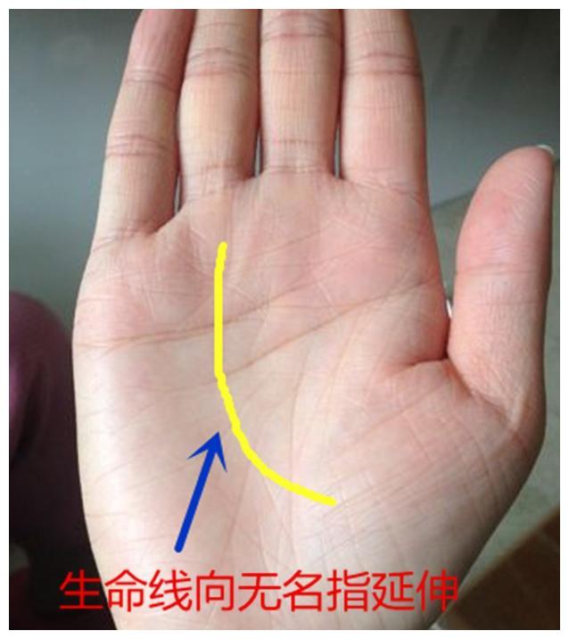 手相 太阳线越是明显 事业成功率越大 财经头条 手相 太阳线越是明显 事业成功率越大 财经头条