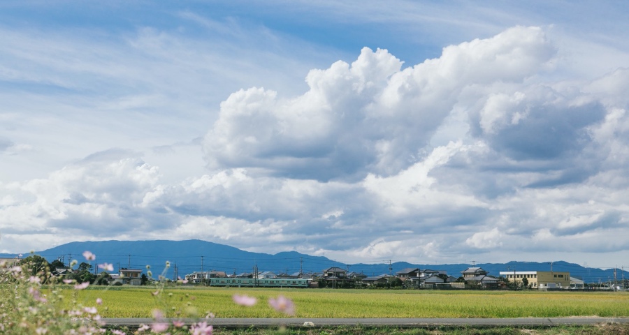 任何时候家电厂商都不能轻视产业政策的价值-家电圈官网