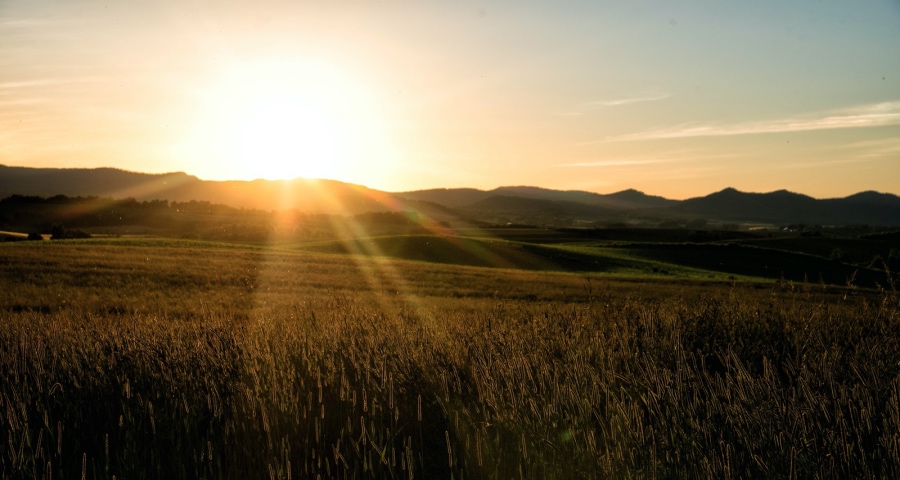 家电产业没有小企业只有笨和懒的企业-家电圈官网