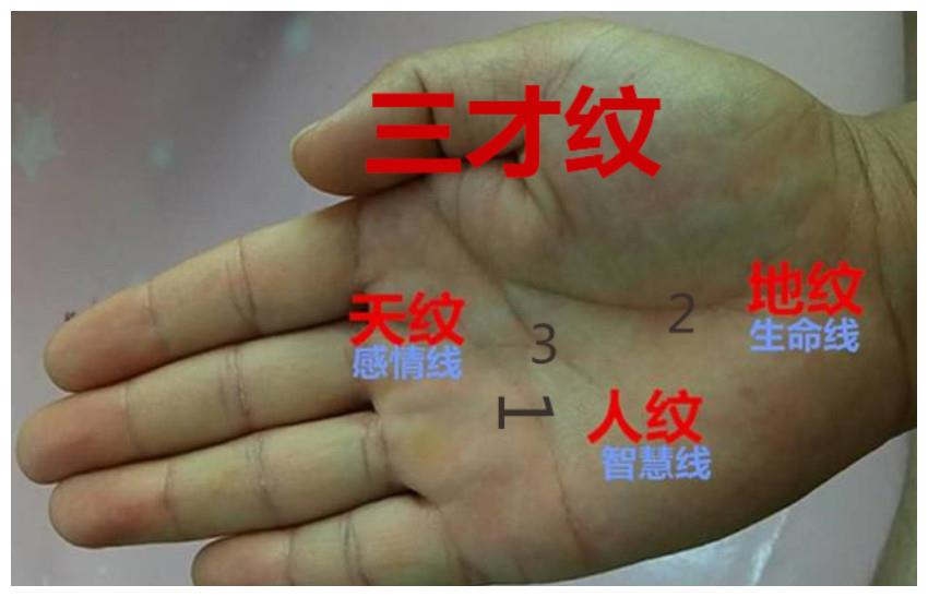手相中三才纹以及其他重要纹理的解析