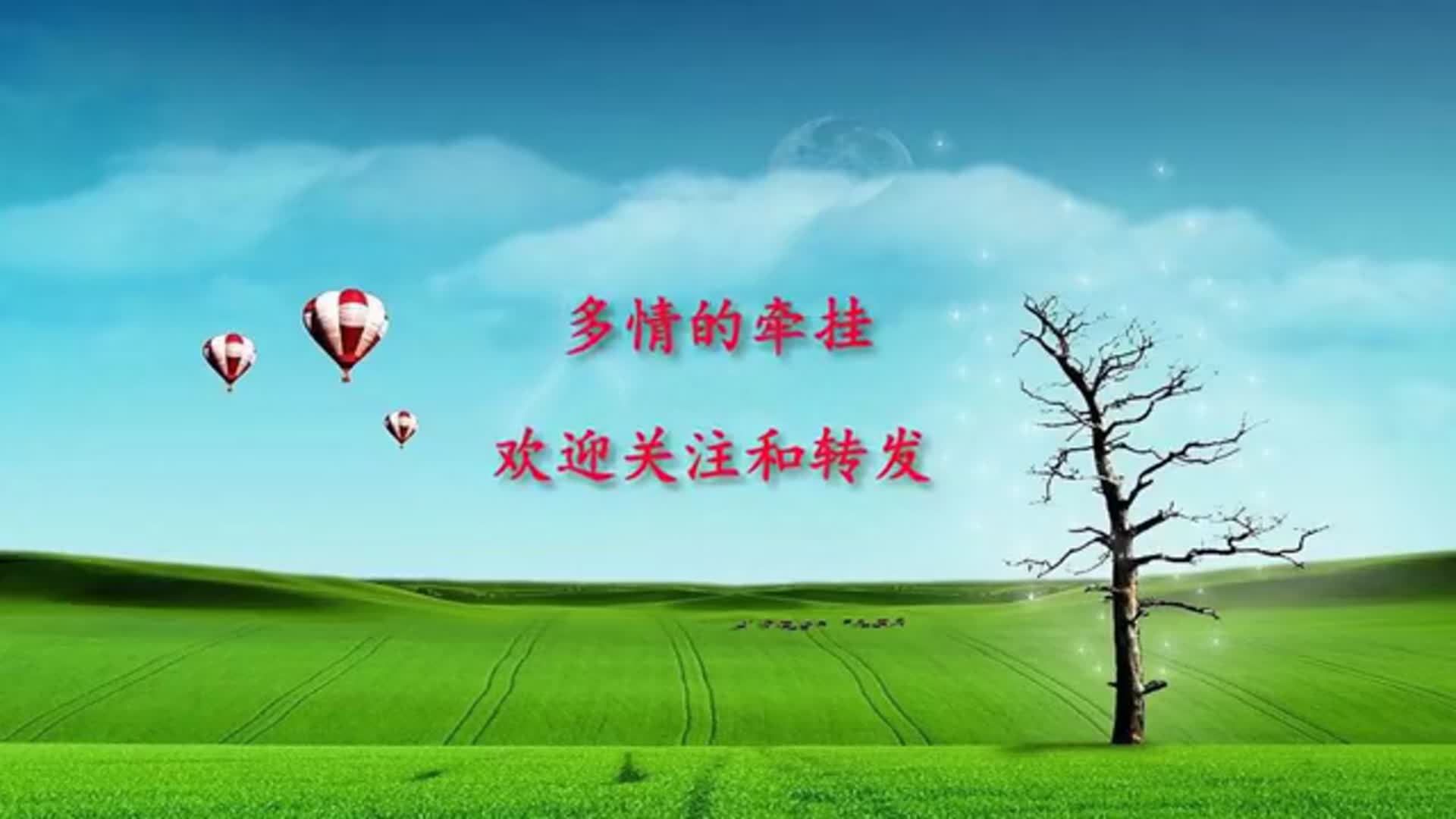 唯美舞曲多情的牵挂优美新颖柔情好看百听不厌